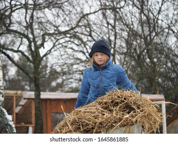 Sad Child Carries A Cart Of Straw. The Chores On The Farm