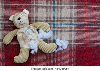 1,129 Ripped teddy bear Images, Stock Photos & Vectors | Shutterstock