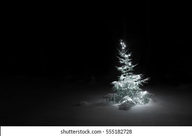 Sad Christmas Tree