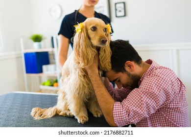 Sad Dog Owner Crying Because Of A Bad Diagnosis Of Her Sick Old Cocker Spaniel At The Vet Hospital