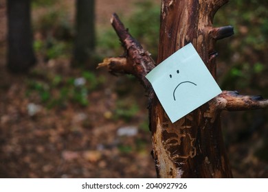 sad emoticon on a sticker glued to an old tree in the forest. get lost in the woods, help those lost in the woods, a dangerous hike in the wild forest