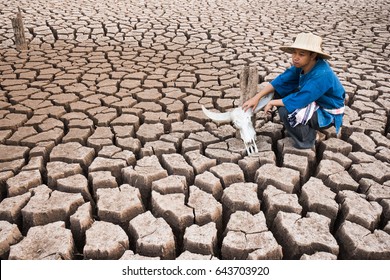 Sad Farmer In Dryland Affected By Global Warming Made Climate Change 