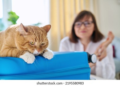 Sad Ginger Cat Lying On Suitcase Of Owner Middle-aged Woman