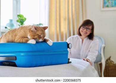 Sad Ginger Cat Lying On Suitcase Of Owner Middle-aged Woman