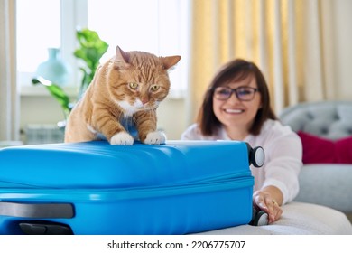 Sad Ginger Cat Lying On Suitcase Of Owner Middle-aged Woman