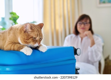 Sad Ginger Cat Lying On Suitcase Of Owner Middle-aged Woman