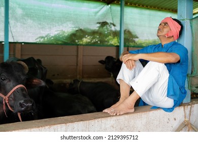 Sad Indian Farmer Sat Near The Livestock Or Milk Dary Farm - Concept Of Business Loss, Debt, Bankrupt And Loan Repayment