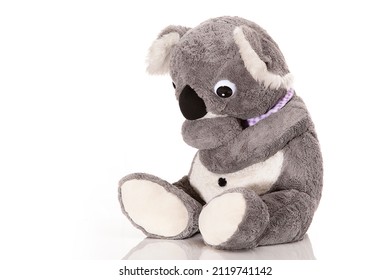 A Sad Koala On A White Background