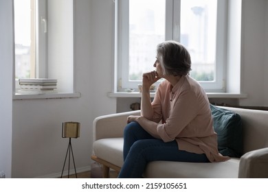 Sad lonely mature grey haired lady looking at window away, thinking over health problems, loneliness, bad news, loss, suffering from apathy, mourning depression. Frustrated middle aged woman at home