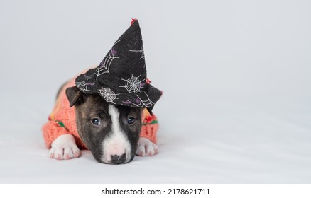 Sad Miniature Bull Terrier puppy wearing hat for halloween lying on a bed at home. Empty space for text - Shutterstock ID 2178621711