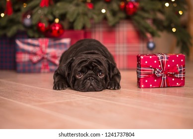 Sad Pug Gift New Year Christmas Tree