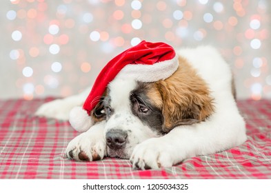 Sad Saint Bernard Puppy Christmas Hat Stock Photo 1205034325 | Shutterstock