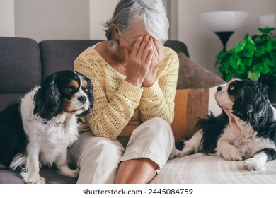 Sad senior woman sitting on sofa at home with hands on face, one of her cavalier king charles dogs looks at her worried. Retired elderly lady and pet therapy concept - Powered by Shutterstock