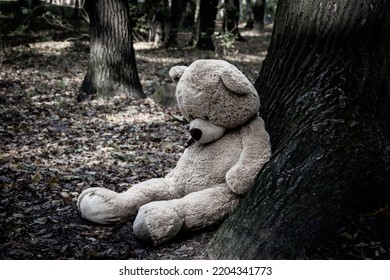 Sad Teddy Bear Abandoned In The Park