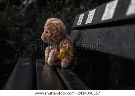 Sad teddy bear sitting on the bench in park