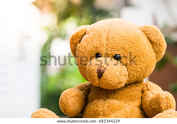 sad teddy bears