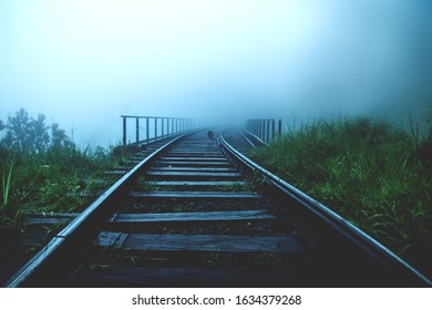 Sad Wet Dog Walking On Railway Bridge Through Green Dark Foggy Jungle Forest, Ella Sri Lanka