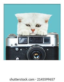 Sad White British Kitten With A Vintage Camera On A Blue Background. Snapshot. Place For Text.