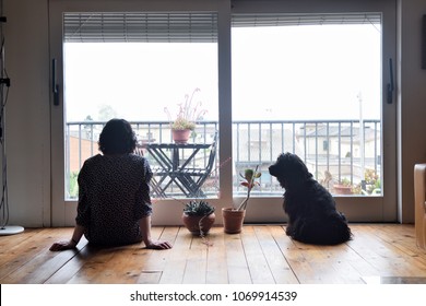 Sad Woman Sitting And Looking Out The Window With Her Dog