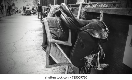 saddle 