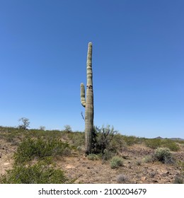 Saddle Mountain Desert Landscape Arizona