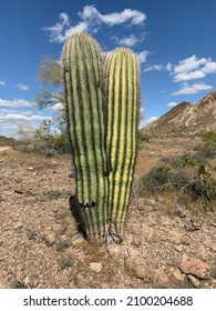 Saddle Mountain Desert Landscape Arizona