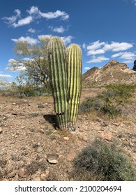 Saddle Mountain Desert Landscape Arizona