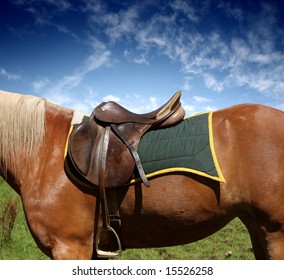 A Saddle On The Horse