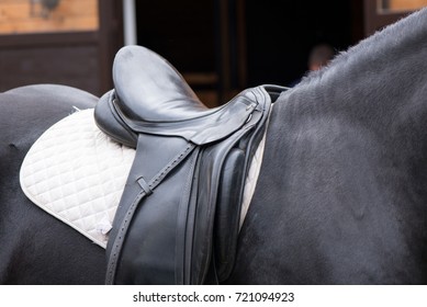 A Saddle On A Horse Tied Down Near A Stable Getting Ready For A Race At The Dome