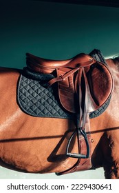 saddle on the horse's back