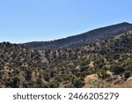 A Saddle and Ridge Near Fort Huachuca