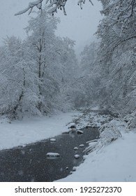 Sadu River Flowing Through A Snow Blizzard. All Tree Branches Are Covered With Thick Ice And Snow. Winter Season, Carpathia, Romania
