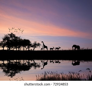 Safari in Africa silhouette of wild animals reflection in water