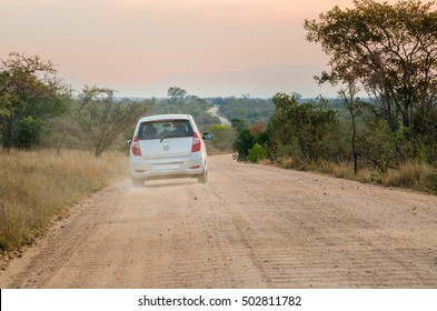 Safari Animals With A Car In Kruger Park, South Africa