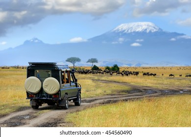 Safari game drive with the wildebeest, Masai mara reserve in Kenya, Africa