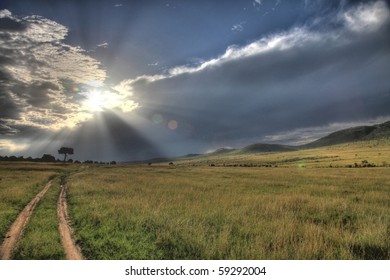Safari Game Reserve Park - Maasai Mara in Kenya
