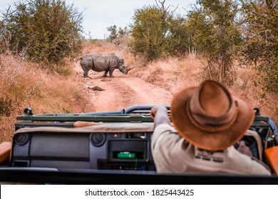 Safari Guide In Jeep Pointing At Rhino In The Wild