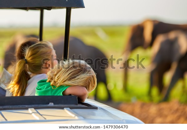 Safari holiday.\
Blond children watching african elephants from roof of a safari\
car.  Family on safari holiday in Amboseli national park. Wildlife\
photography in Kenya,\
Tanzania.