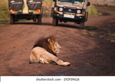 Lion Car Images Stock Photos Vectors Shutterstock