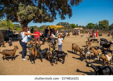 SAFARI MADRID, ALDEA DEL FRESNO, SPAIN - OCTOBER 20, 2019:    Farm Of Safari Madrid Zoo. A Mother And Her Daughter Feed The Goats On The Farm With Carrots