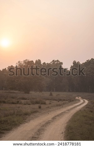 Safari Road, Kanha Tiger Reserve, Madhya Pradesh, India