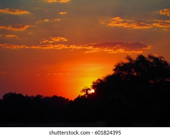 Safari In South Luangwa Valley ,Zambia