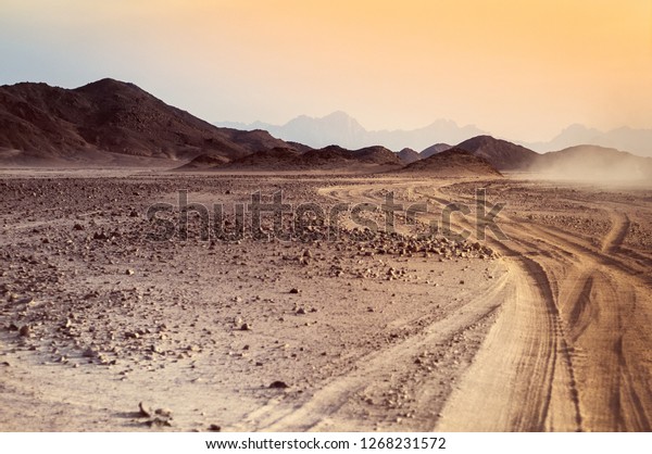 Safari and travel to Africa - extreme adventures or\
science expedition in a stone desert. Sahara desert at sunrise -\
mountain landscape with dust on skyline, hills and traces of the\
off-road car.
