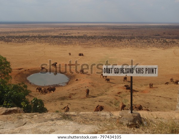 Safari Warning Sign Elephants Watering Hole Stock Photo Edit Now