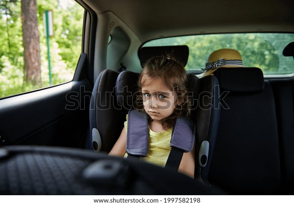 Safe movement of children in the\
car. Fastened little girl to child safety seat inside\
car