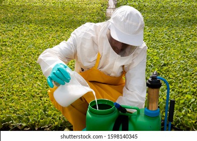 Safe Procedure To Handle Pesticides In An Industrial Greenhouse