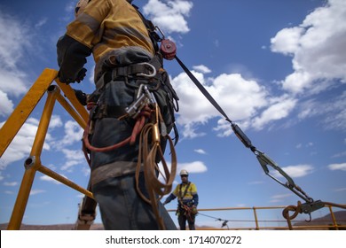 Safe workplace rigger wearing working at heights harness clipping an inertia reel shock absorbing fall arrest device hook on the rope sling anchor point while working from 2 metre exposure open edges