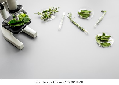 Safety food. Laboratory for food analysis. Herbs, greens under microscope on grey background top view copy space