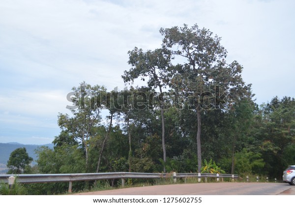 Safety guard rail installed along the roadside\
on the bank of the Mekong river to prevent cars or tourists from\
having accidents, under the cloudy\
sky