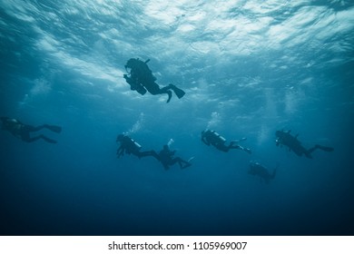 Safety Stop Of Divers